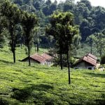 best cities to visit in India