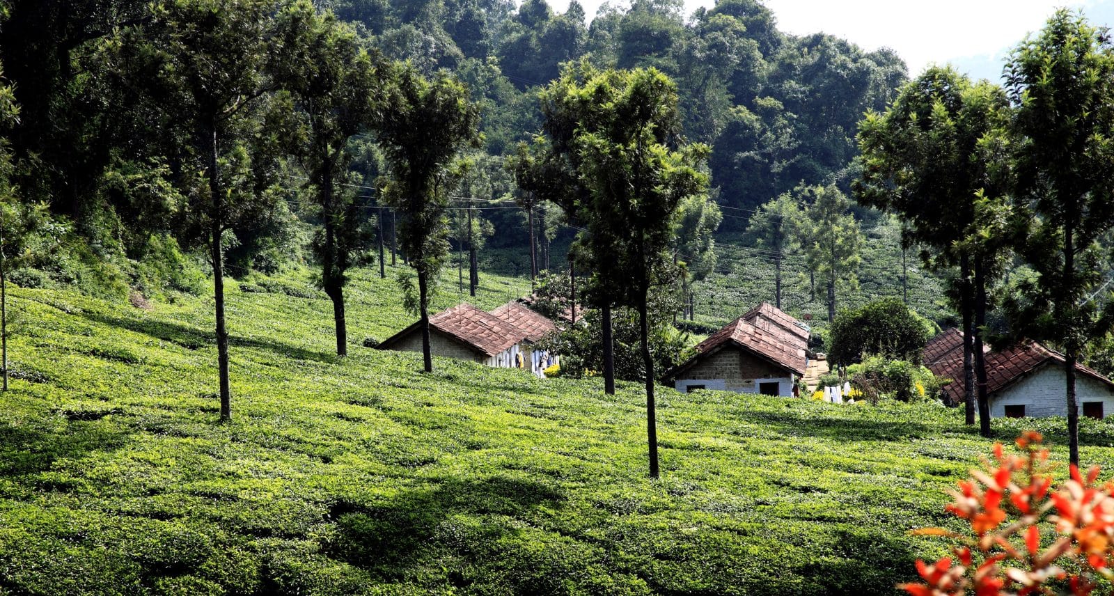 best cities to visit in India