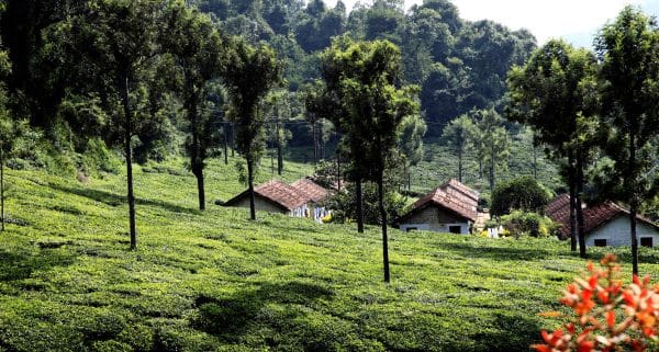 best cities to visit in India